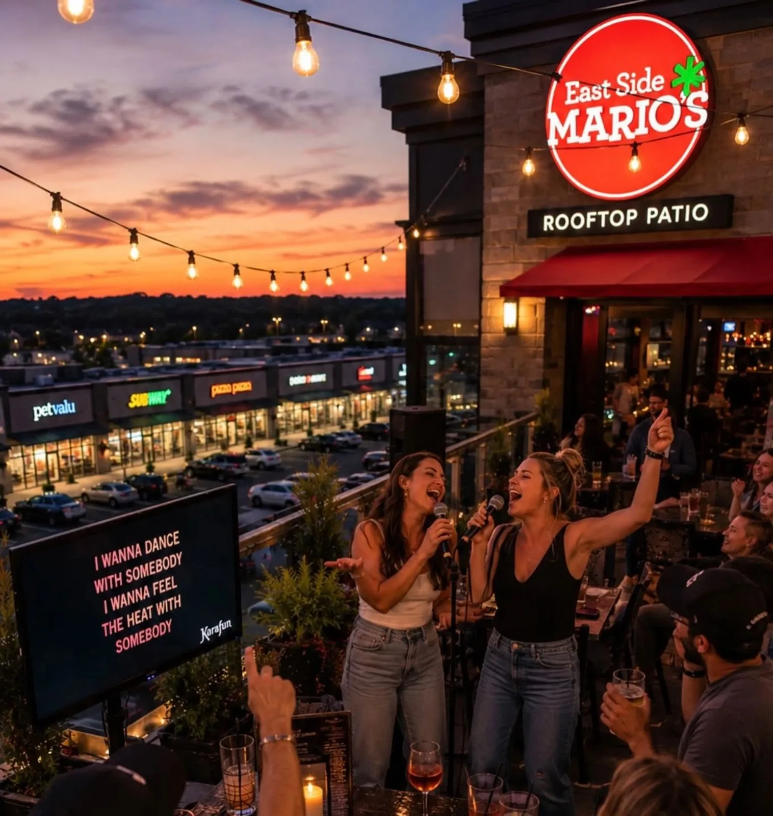 Rooftop Patio Karaoke With Shine Karaoke
