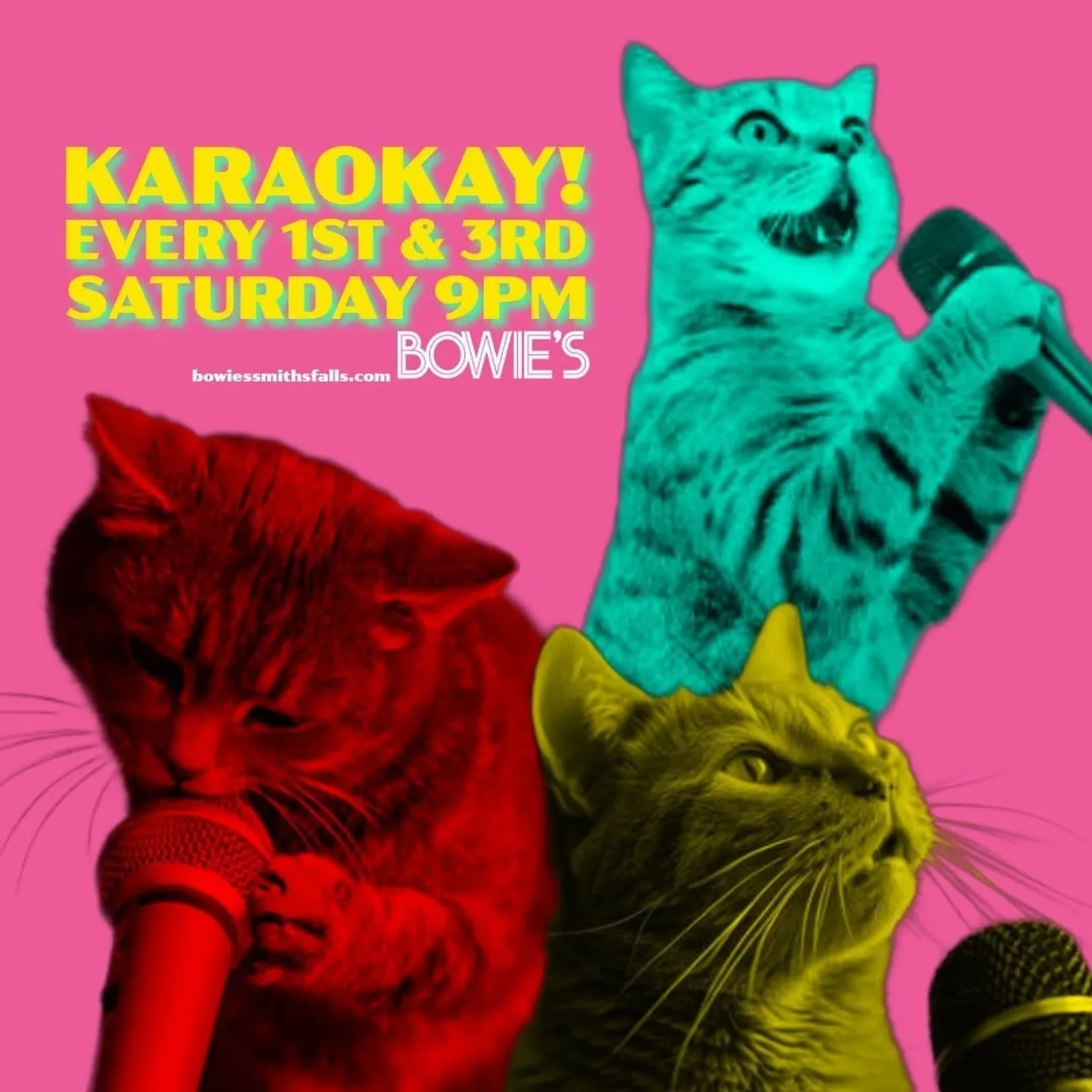 Une affiche annonçant Karaoké du samedi — au Bowie's, une salle de musique live à Smiths Falls, Canada, le Sam 3 oct. à 21h00